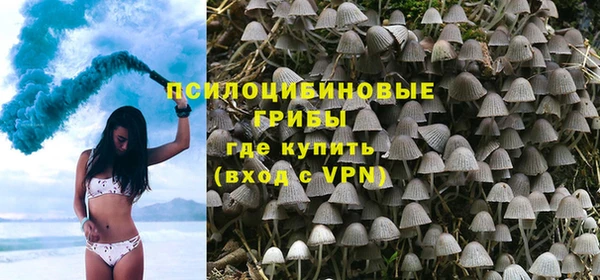 амф Арсеньев