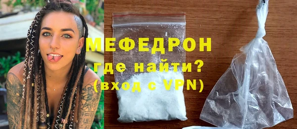 шишки Дубна